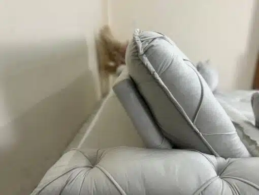 Sofá Retrátil e Reclinável Eros 2.30m - Bege Veludo - Imagem 5